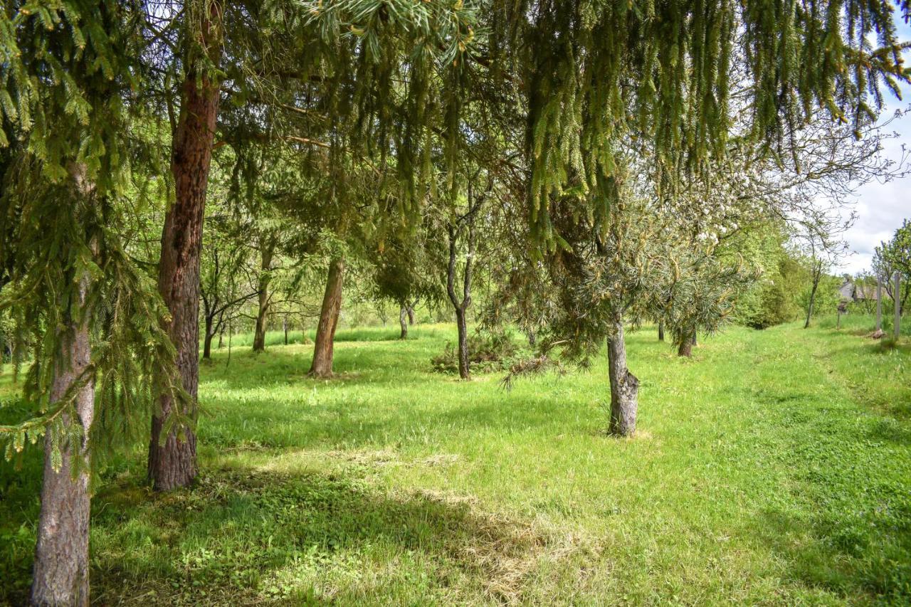 Korkóstoló Vendégházak Aggtelek Extérieur photo