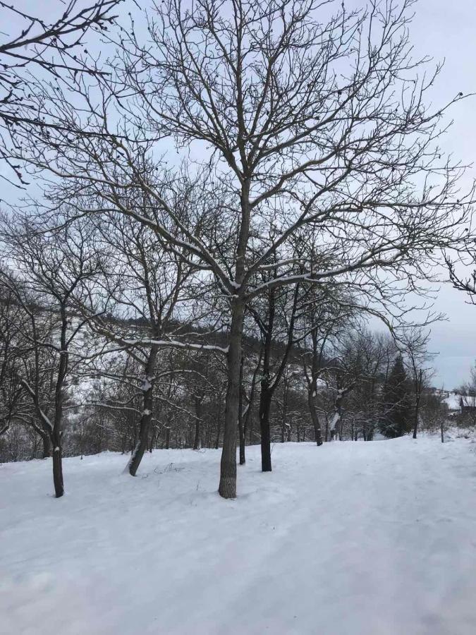 Korkóstoló Vendégházak Aggtelek Extérieur photo